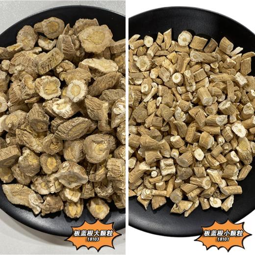 板蓝根 常用规格 当季新货 中药材 商品图0