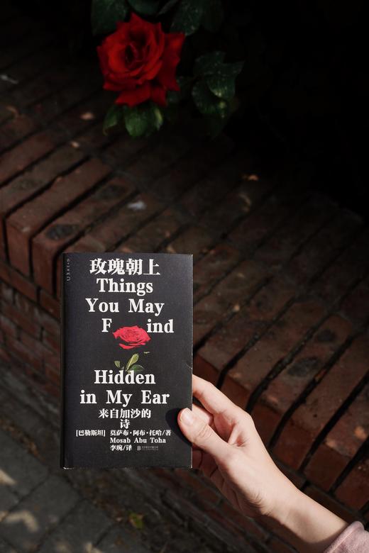 玫瑰朝上（精装，送限定透卡2张），90后巴勒斯坦青年诗人、2025普利策评论奖得主作品。美亚评分4.8，Goodreads评分4.75，获巴勒斯坦图书奖、美国图书奖和沃尔科特诗歌奖。 商品图7