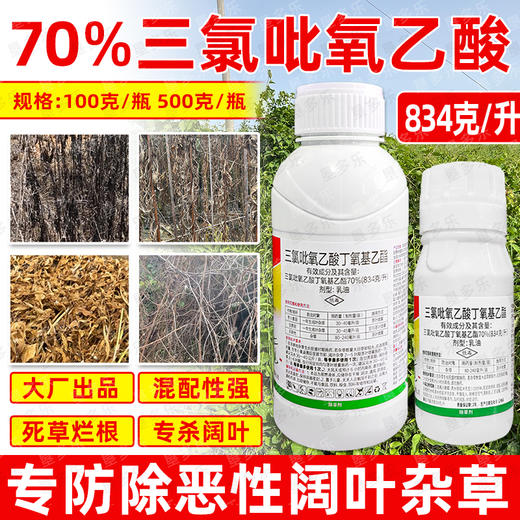 70%三氯吡氧乙酸除络石藤水花生构树藤蔓杂灌恶性杂草专用除草剂 商品图4