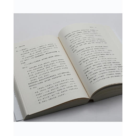 词体与声情丨中国诗词大会学术顾问叶嘉莹先生主编 名家谈诗词 商品图5