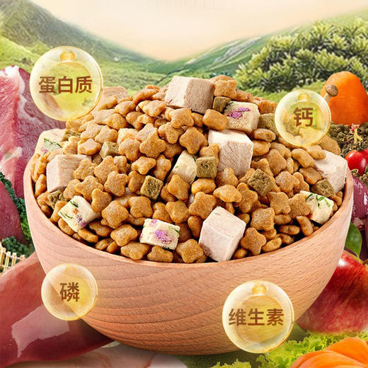 伯纳天纯狗粮生鲜系列鸭肉梨冻干粮泰迪金毛幼犬成犬全价通用狗粮 商品图3