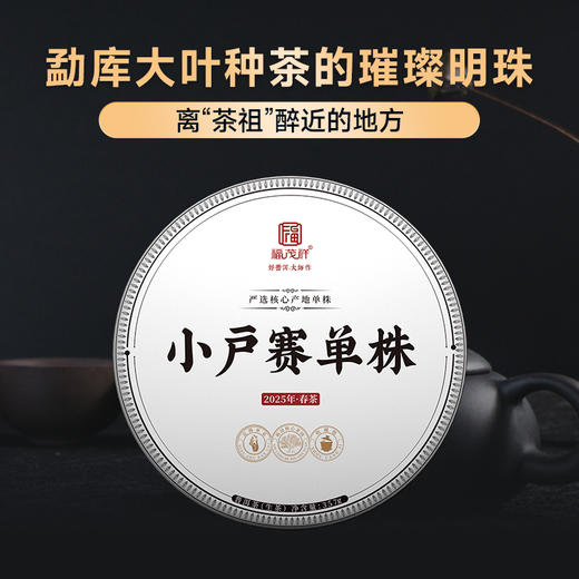 【2025年春茶】【小户赛单株】勐库大叶种茶的璀璨明珠 离茶祖最近的地方 2025年春茶临沧普洱生茶古树单株纯料357g茶饼 商品图0