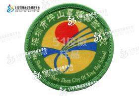 通版深圳市坪山星辉实验学校包边校徽礼服姓名贴章可缝烫现货发51