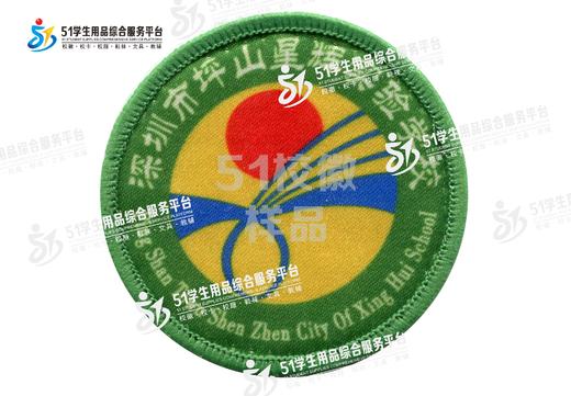 通版深圳市坪山星辉实验学校包边校徽礼服姓名贴章可缝烫现货发51 商品图0