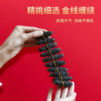 久年大连淡干海参100g15-24只 实木礼盒 臻品辽刺参 海鲜干货礼盒送礼 /粮油调味 /南北干货 /干海参 商品图3
