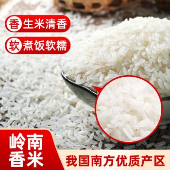 岭南穗粮好有 小油粘米 南方籼米 软香粘大米 家庭装30斤 /粮油调味 /米 /油粘米 商品图1