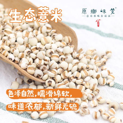 生态薏米/薏仁（成都仓库-顺丰快递）| 500g，来自云南曲靖，生产者：熊杰峰【合作生产，公平贸易】 商品图0