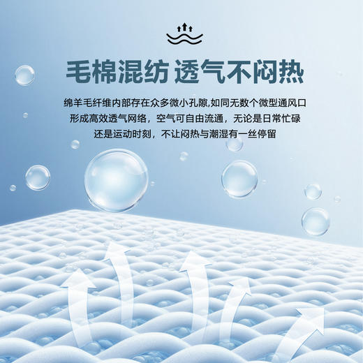 【大师绵柔】绵羊毛裸肌空气层透气针织POLO衫255Z0P925S[门店专款] 商品图5