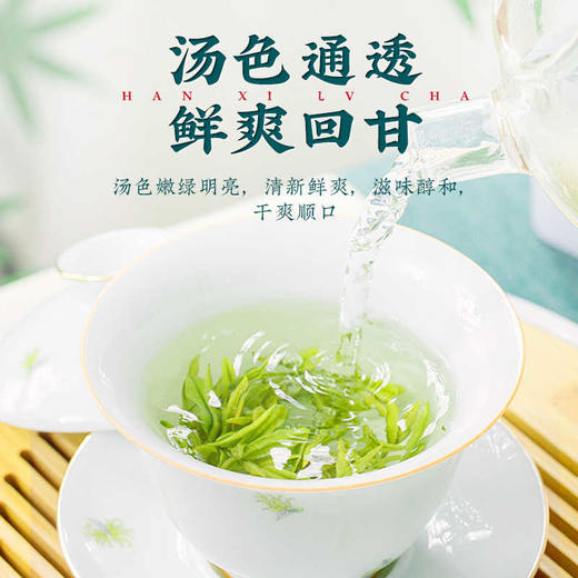 【夏季冷泡茶】【2025新茶】茶马世家高山云雾茶硒茶500g 商品图2