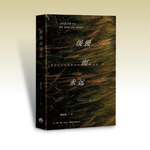 缓慢而永远丨姬中宪 著 一部照见你我的文学佳作孙甘露,鲁敏,阿乙,张莉,杨庆祥,木叶,真挚推荐 商品图1