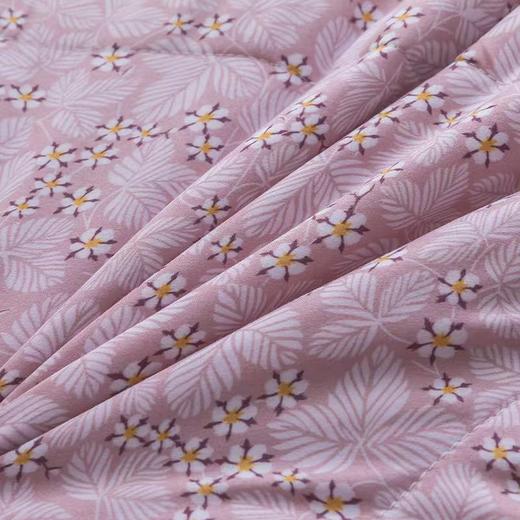 【春上新】10楼 恐龙 小茶芯印花抗菌纤维夏被-粉果 200*230cm 吊牌价880元 活动价99元 商品图4