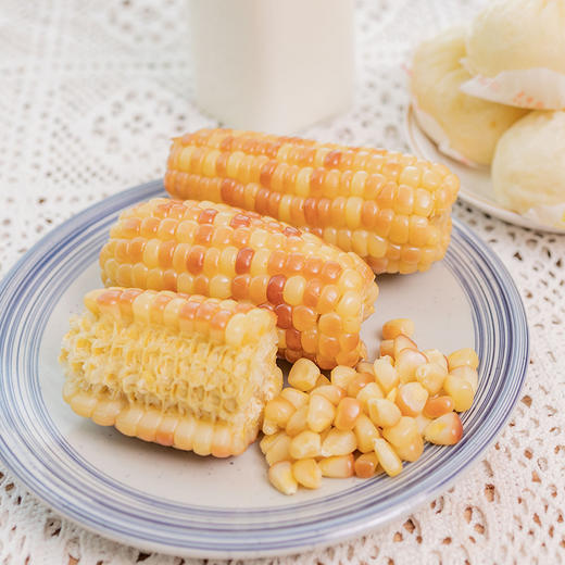 版纳香糯小玉米 | 新鲜加工 商品图6