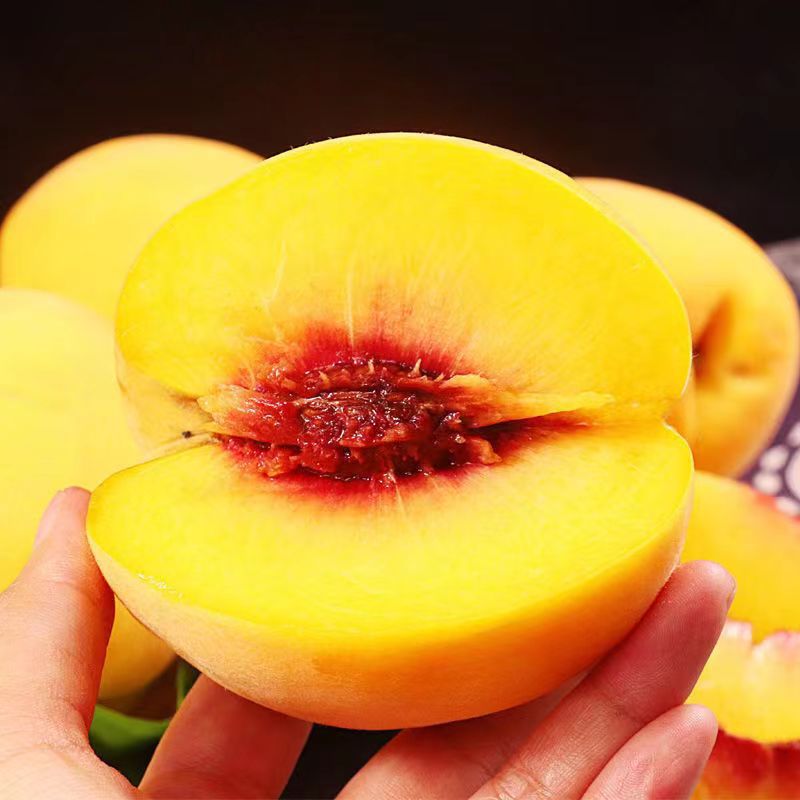 【香甜多汁❗当季新鲜黄桃】一口咬入，肉质紧实而韧，每一口都甜在心里！节水果礼盒，新鲜黄肉毛桃爆甜时令水果L