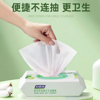 妇炎洁湿厕纸积雪草60抽*3包擦除99.9%细菌湿擦免洗私处湿纸巾杀菌厕纸 /家庭清洁/纸品 /清洁纸品 /湿厕纸 商品图2