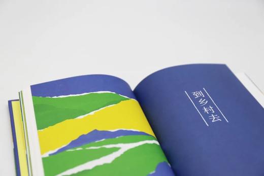 理想的小镇丨揭示浙江安吉白茶原模式基本原理；探寻友好可持续生活方式；勾勒全新乡村振兴路径，指向更美好的村镇生活 商品图5