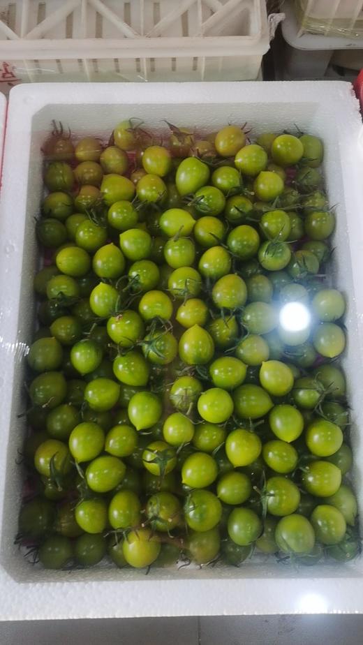 青甜柿子😍 单斤 商品图0