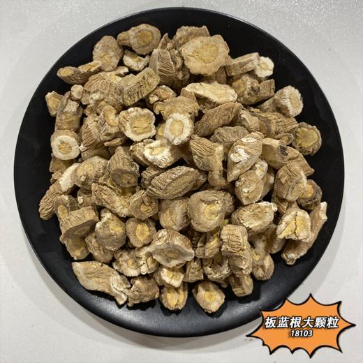 板蓝根 常用规格 当季新货 中药材 商品图3