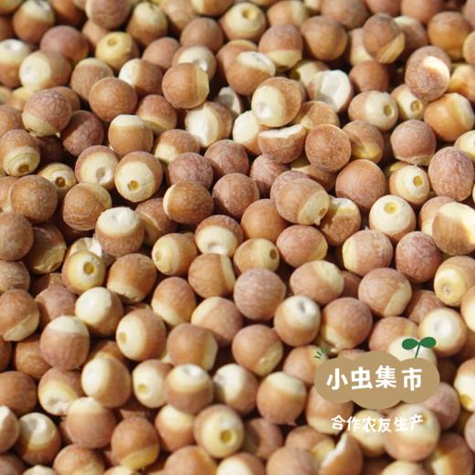 生态五指毛桃土茯苓汤料包 | 合作农友生产，产自广东五桂山旗溪村，生产者：郝冠辉 &【公平贸易农人定价】 商品图4