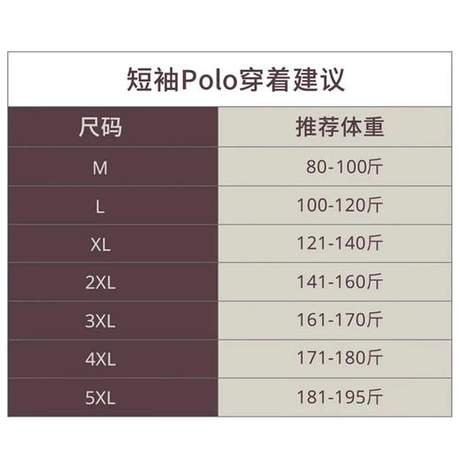 【大师绵柔】绵羊毛裸肌空气层透气针织POLO衫255Z0P925S[门店专款] 商品图1