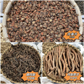 丹参粒 中大规格 四川产 可磨丹参粉