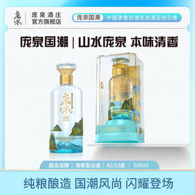 庞泉国潮42/53度清香型商务馈赠高端白酒