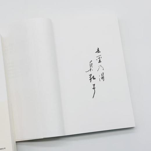 去圣乃得真孔子：《论语》纵横读丨来自北大经典阅读课：当我们与孔子相遇怎样读《论语》，怎样看待孔子？ 商品图5