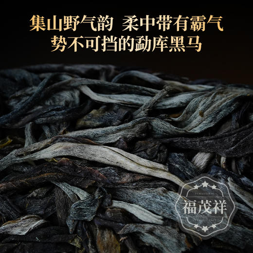 【2025年春茶】【小户赛单株】勐库大叶种茶的璀璨明珠 离茶祖最近的地方 2025年春茶临沧普洱生茶古树单株纯料357g茶饼 商品图2