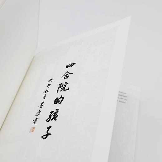 四合院的孩子丨何大齐新作，北岛推荐 商品图6