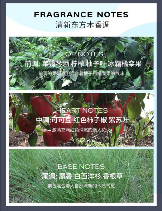 【5.10王炸割肉价】CK凯文克莱ckIN2U因为你喜欢你/男士品味淡香水清新 50ml（有封无封随机发 包装有挤压） 商品图2