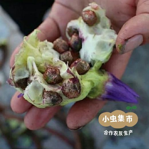 生态四神汤包 440g/袋 | 合作农友生产，产自广东连南瑶族自治县，生产者：张运东 &【公平贸易农人定价】 商品图5