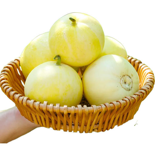 【超甜❗小蜜罐甜瓜】个大饱满，甜脆爽口，肉质鲜嫩，色泽诱人，脆甜多汁，新鲜水果瓜包邮蜜罐甜瓜L 商品图3