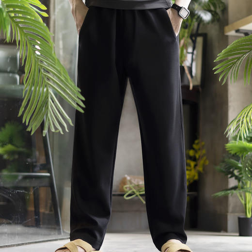 夏季新款速干舒适抗皱型 男士休闲运动裤——两色可选 商品图2