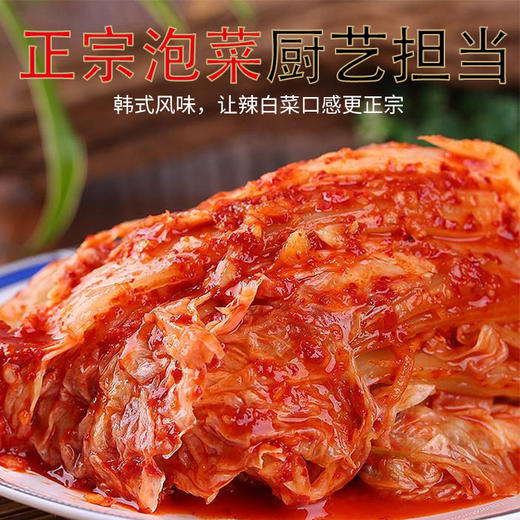 辣白菜腌制专用酱料调味料拌料辣白菜腌制调味酱料淹料酱调味料包 商品图2