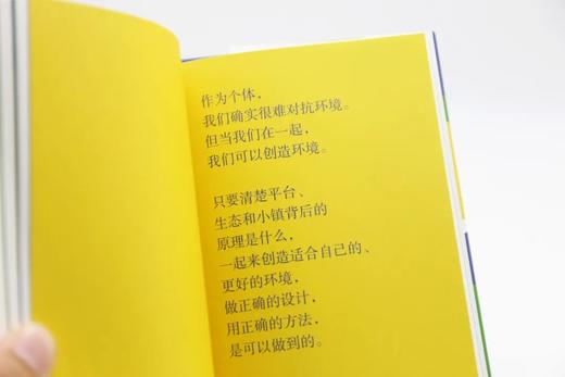 理想的小镇丨揭示浙江安吉白茶原模式基本原理；探寻友好可持续生活方式；勾勒全新乡村振兴路径，指向更美好的村镇生活 商品图4