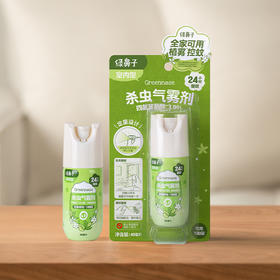 【Greennose绿鼻子】杀虫气雾剂 40ml（100喷）
