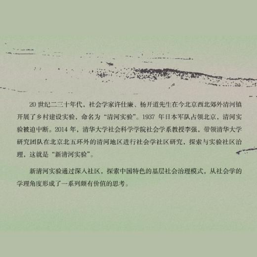 新清河实验丨李强著，清华大学专业团队，为基层调研提供一份参考范例 商品图4