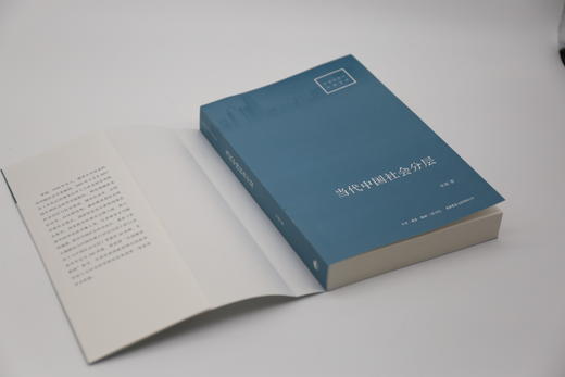 当代中国社会分层丨中国资深社会学家李强扛鼎之作，深入了解当代中国社会 商品图3