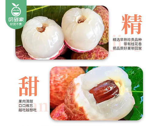 海南桂花香荔枝/1份（300g±20g） 商品图3