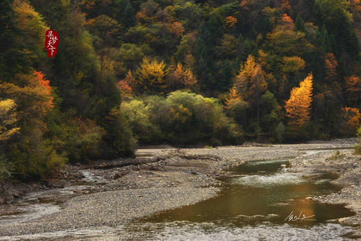 四川米亚罗红叶深度摄影团7天： 蓝天、雪山、彩林、温泉（米亚罗→夹壁村→毕棚沟→古尔沟→梭罗沟→一颗印沟→和日脚沟） 商品图6