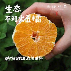生态不知火丑橘（基地直发-顺丰包邮）| 5斤/箱，来自四川丹棱，生产者：刘德平【合作生产，公平贸易】