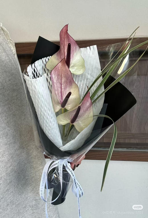 【彩掌】紫色马克西玛  单枝 商品图4