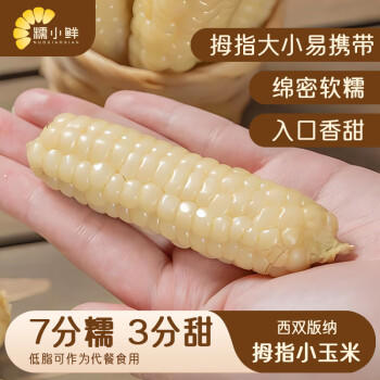 糯小鲜云南拇指玉米1斤（8-10根） 年货西双版纳新玉米儿童早餐宝妈代餐 /粮油调味 /杂粮 /谷米类 商品图3
