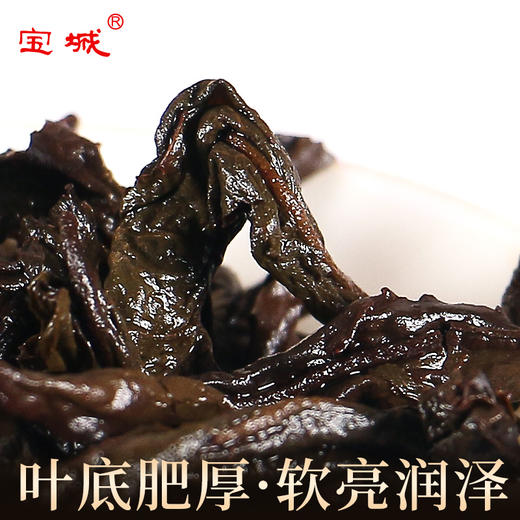 【新品上市，欢迎尝鲜】宝城知知好D201鲜韵老枞水仙茶叶250克散装罐装浓香型乌龙茶岩茶礼盒装 商品图3