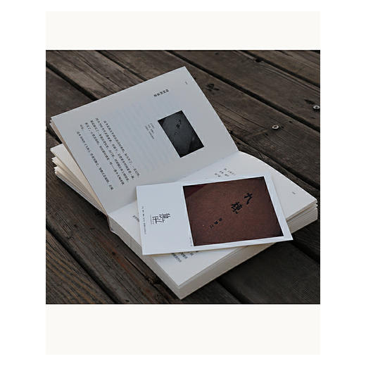 冒犯经典丨魏小河书评集，张佳玮作序推荐！ 商品图4