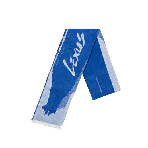 桑蚕丝围巾 商品图1