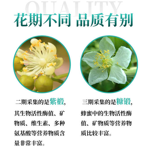 黑森迎春黑蜂椴树蜜 东北原始森林野生雪蜜天然结晶二期蜂蜜400g 商品图1