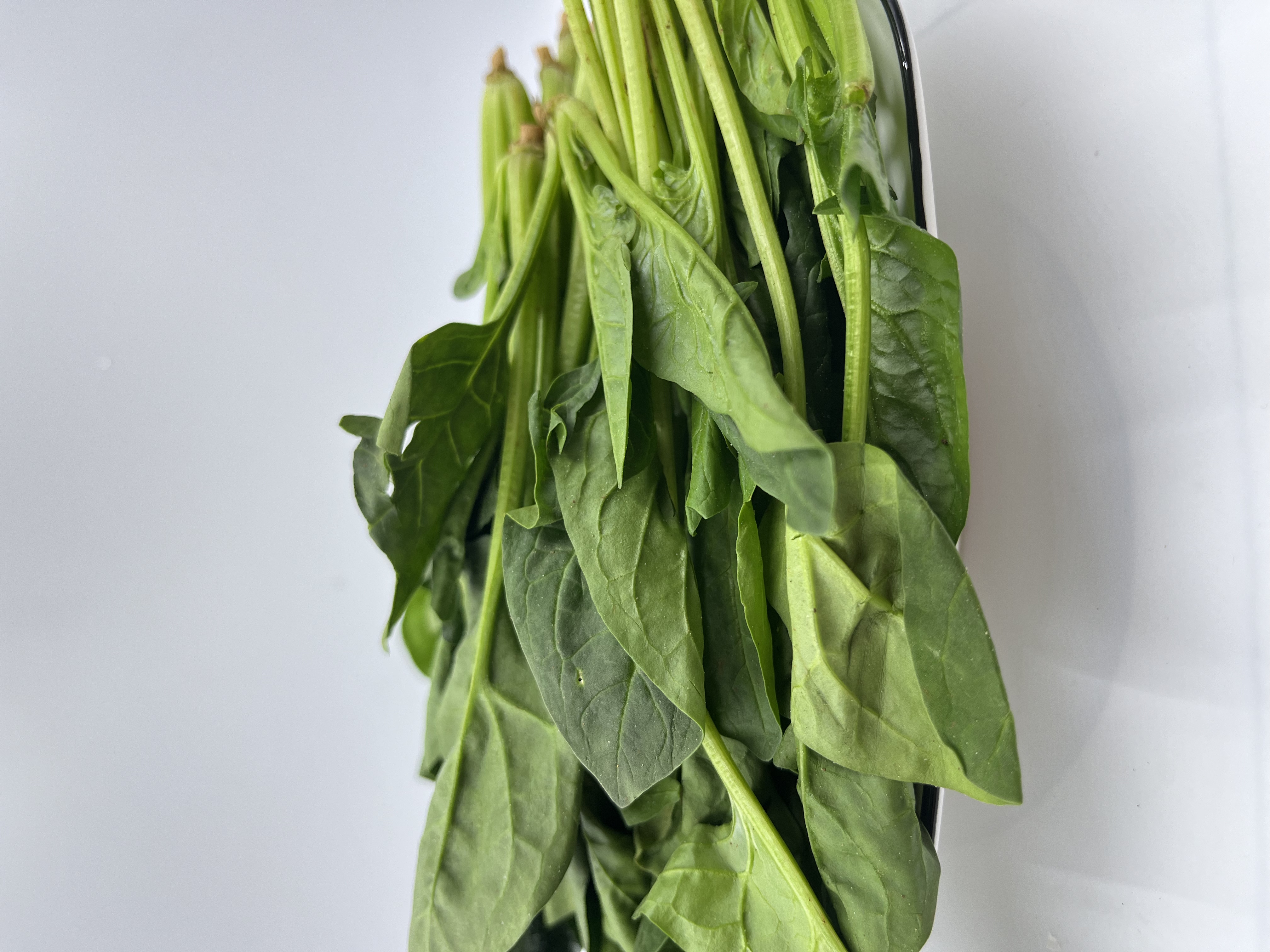 朴愿甄选   高原菠菜苗   250克