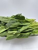 朴愿甄选   高原菠菜苗   250克 商品缩略图0