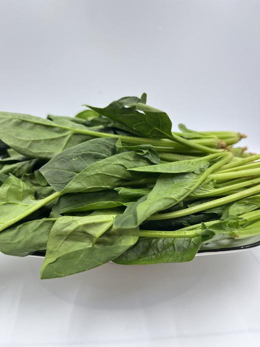 朴愿甄选   高原菠菜苗   250克 商品图0