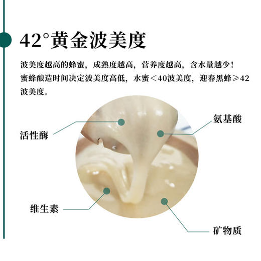 黑森迎春黑蜂椴树蜜 东北原始森林野生雪蜜天然结晶二期蜂蜜400g 商品图4